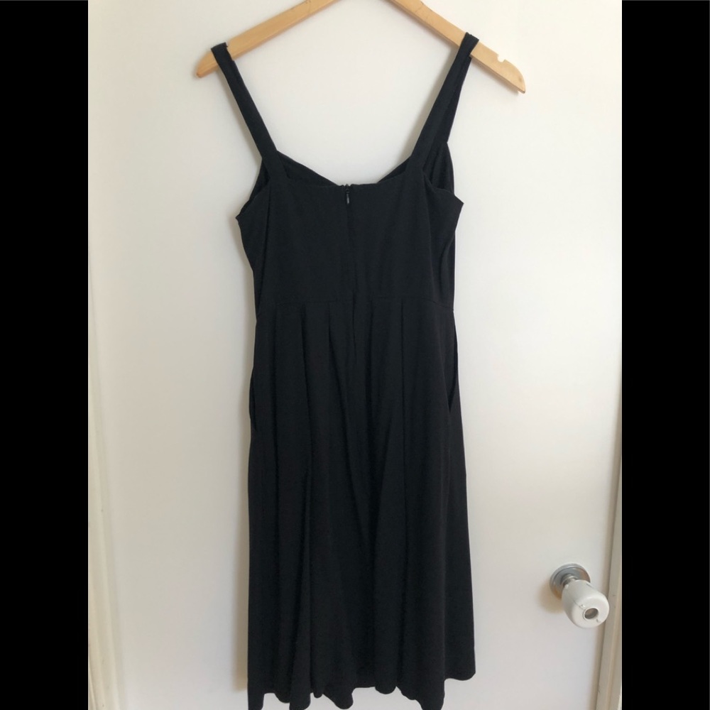 Black dress Birds of North America